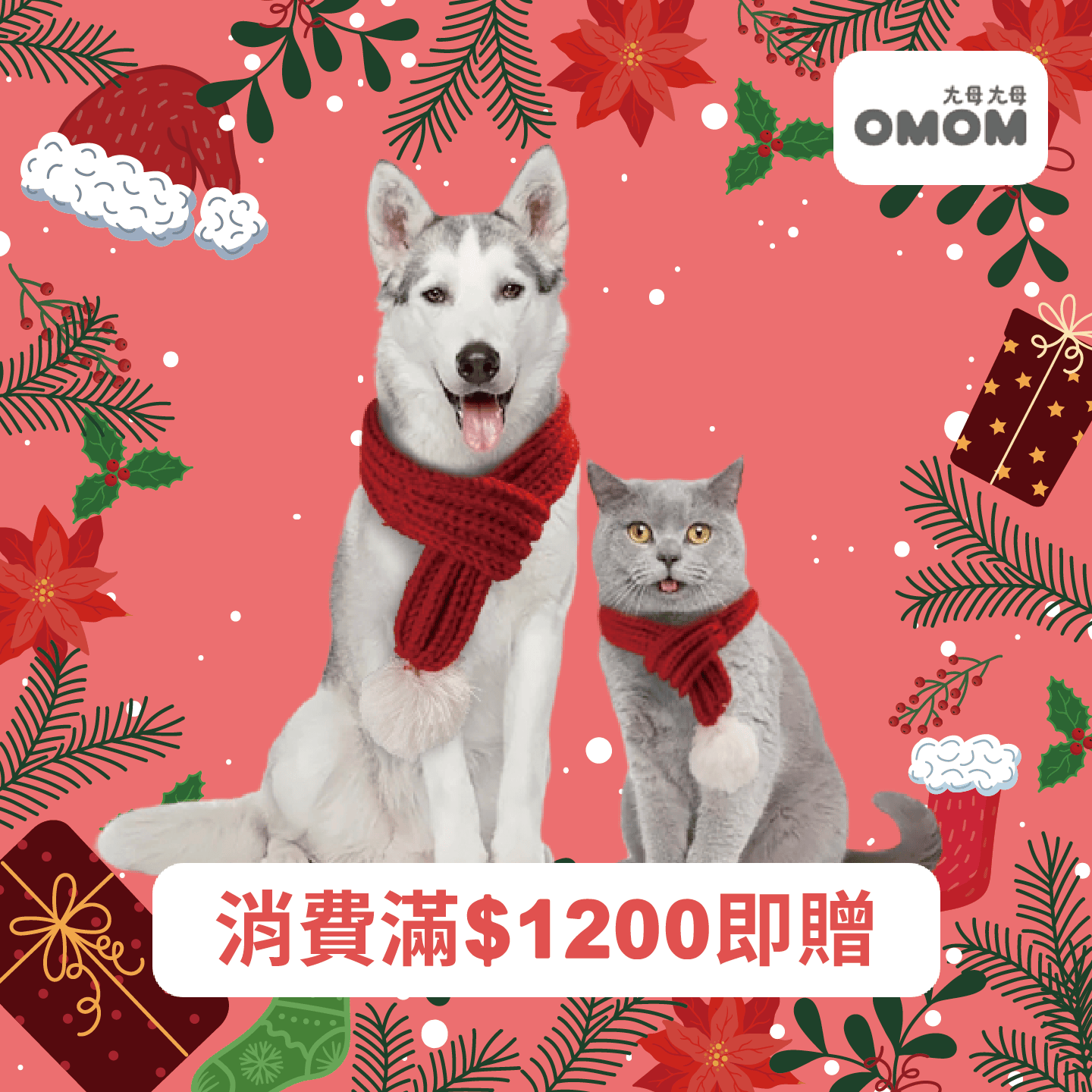 OMOM 寵物圍巾